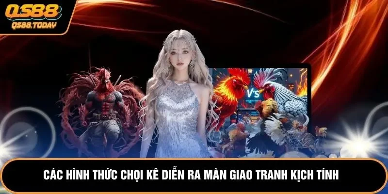 Các hình thức chọi kê diễn ra màn giao tranh kịch tính