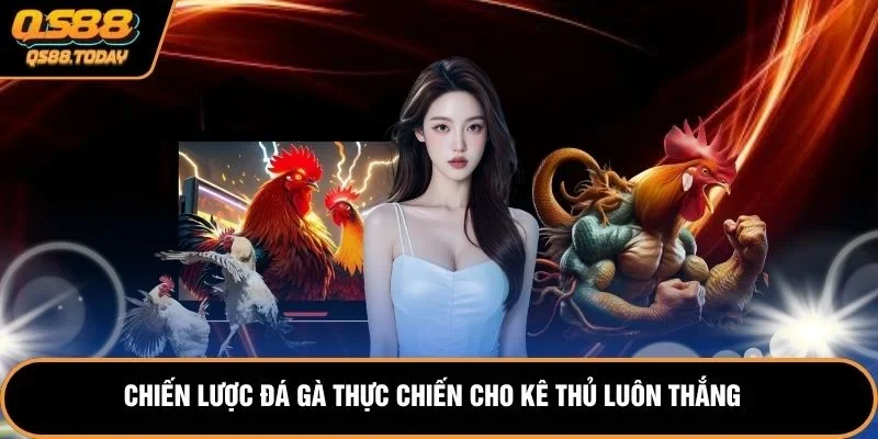 Chiến lược đá gà thực chiến cho kê thủ luôn thắng