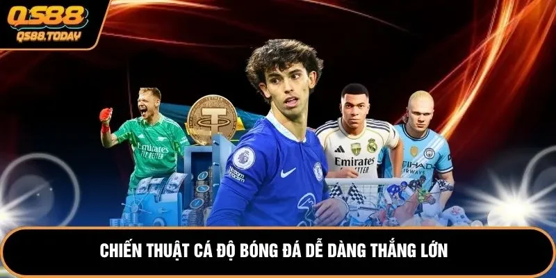 Chiến thuật cá độ bóng đá dễ dàng thắng lớn