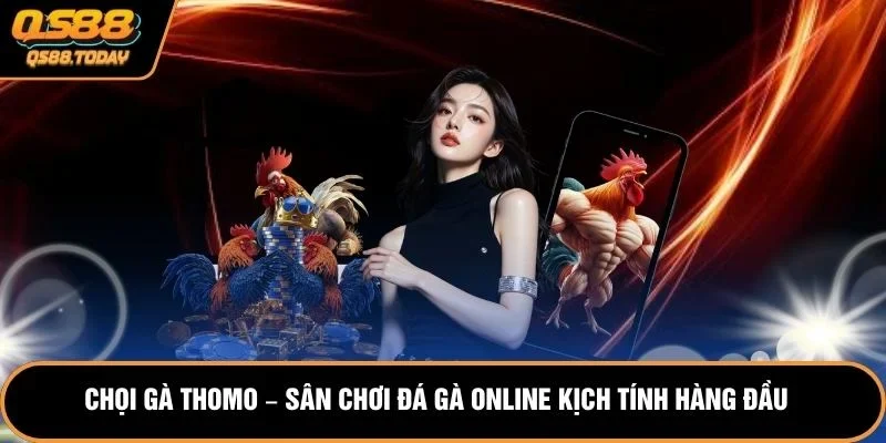 Chọi Gà Thomo – Sân Chơi Đá Gà Online Kịch Tính Hàng Đầu