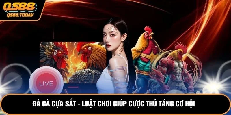 Đá Gà Cựa Sắt - Luật Chơi Giúp Cược Thủ Tăng Cơ Hội