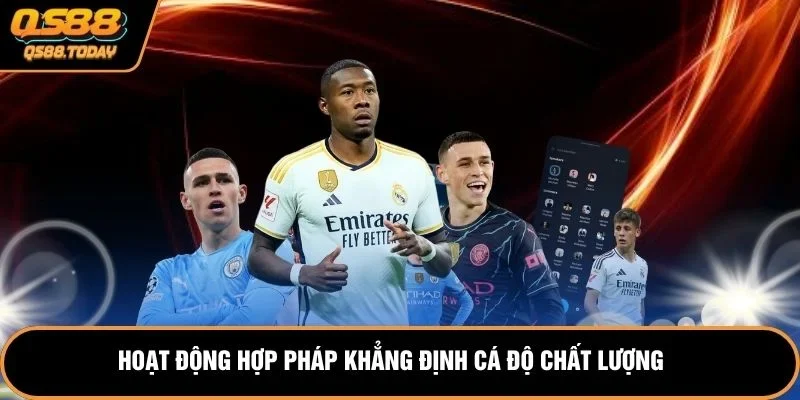 Hoạt động hợp pháp khẳng định cá độ chất lượng