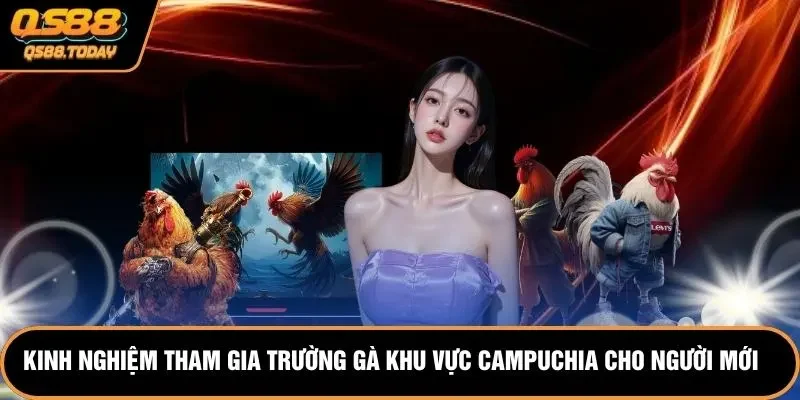 Kinh nghiệm tham gia trường gà khu vực campuchia cho người mới bắt đầu