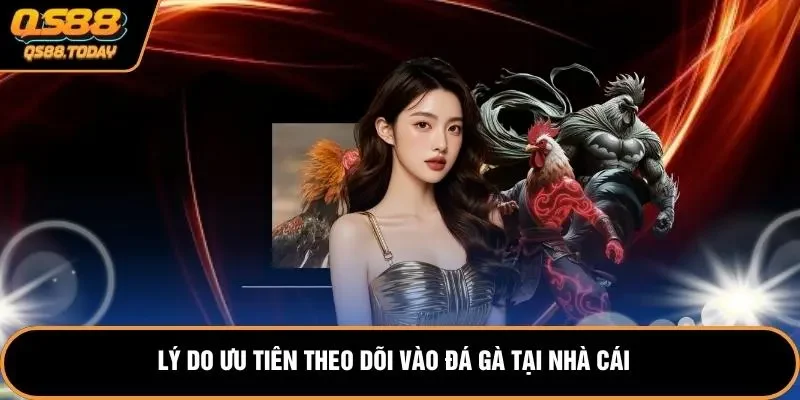 Lý do ưu tiên theo dõi vào đá gà tại nhà cái