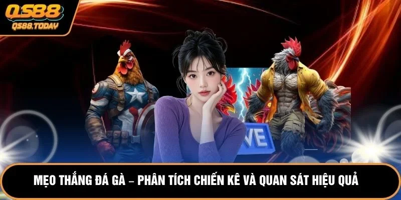 Mẹo Thắng Đá Gà – Phân Tích Chiến Kê Và Quan Sát Hiệu Quả 