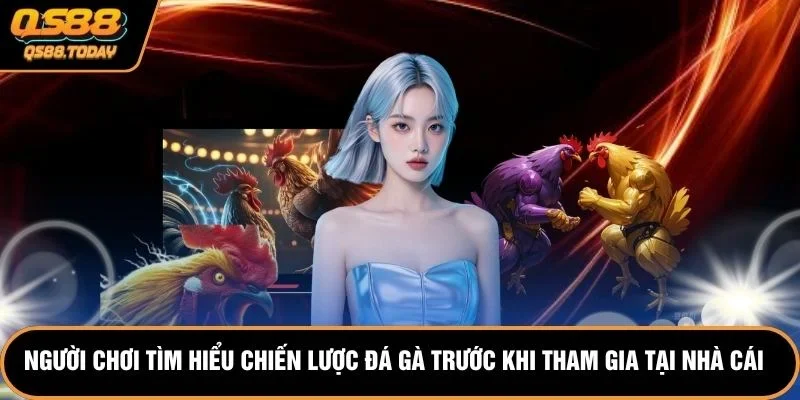 Người chơi tìm hiểu chiến lược đá gà trước khi tham gia tại nhà cái