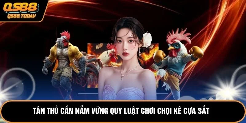 Tân thủ cần nắm vững quy luật chơi chọi kê cựa sắt